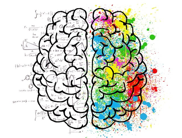 5 Estrategias Didácticas Basadas en la Neurociencia